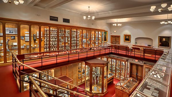 The Mütter Museum